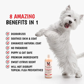 Warren London - Neem Oil Shampoo for Dogs