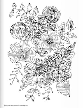 Coloring Book - Botanicals