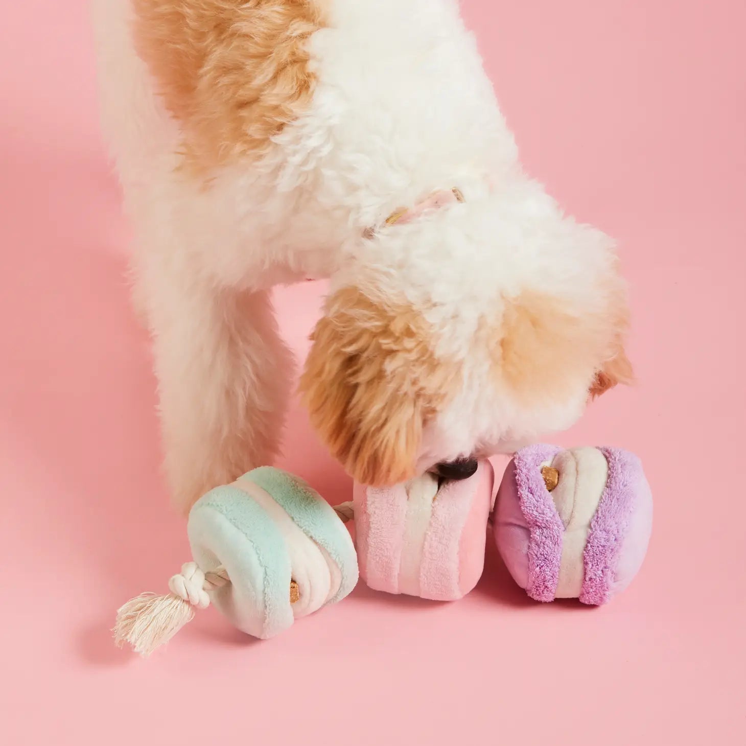 Dog Toy Macarons