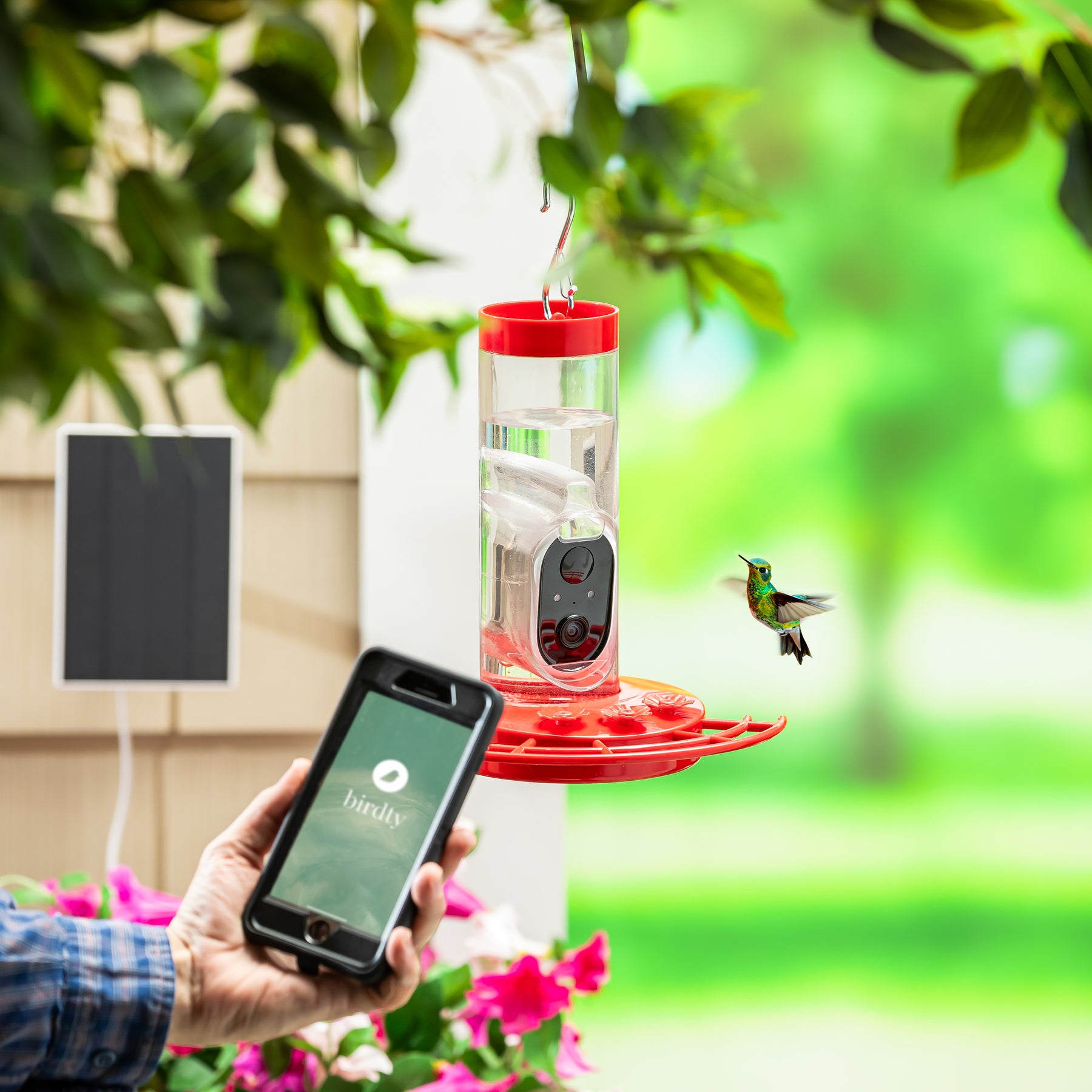 Solar Hummingbird Bird Feeder