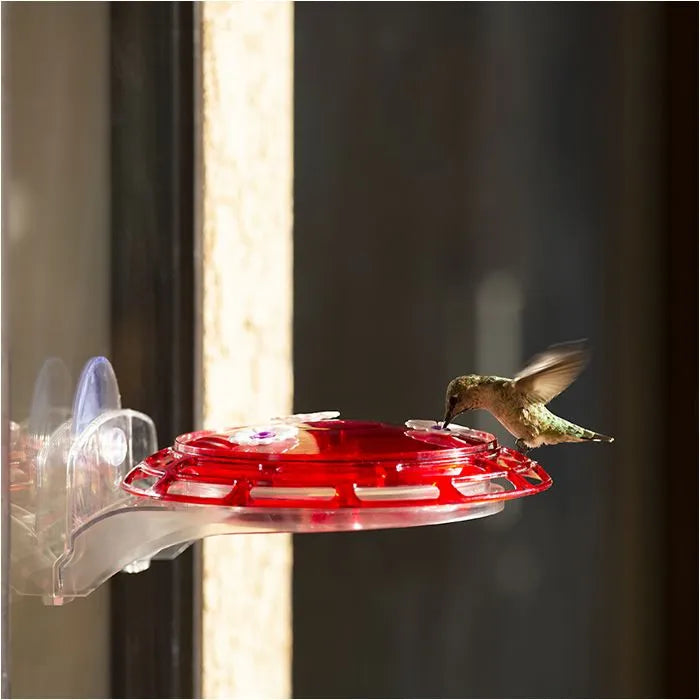 More Birds - 3 in 1 Hummingbird Feeder