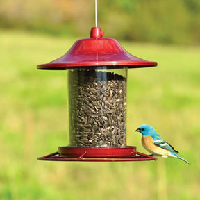 Perky Pet Panorama Seed Feeder Sure-Lock Cap