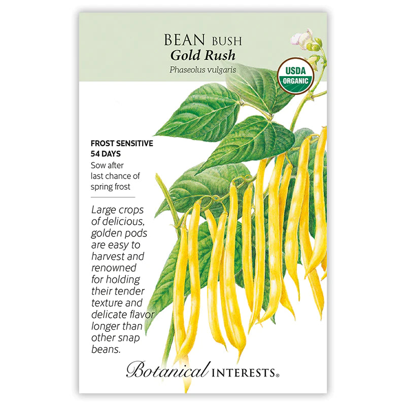 Bean Bush (Yellow) Gold Rush Seeds