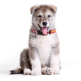 KC Chiefs Team Pet Collar