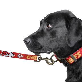 KC Chiefs Team Pet Lead