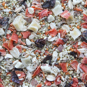 Worldly Cuisine - Tuscan Dream Bird Food