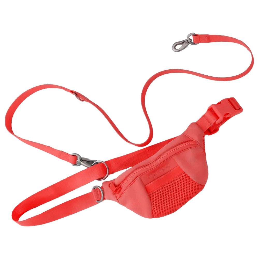 Springer Sling Bag + Leash