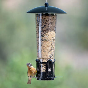 Perky Pet Feeder Squirrel Be Gone