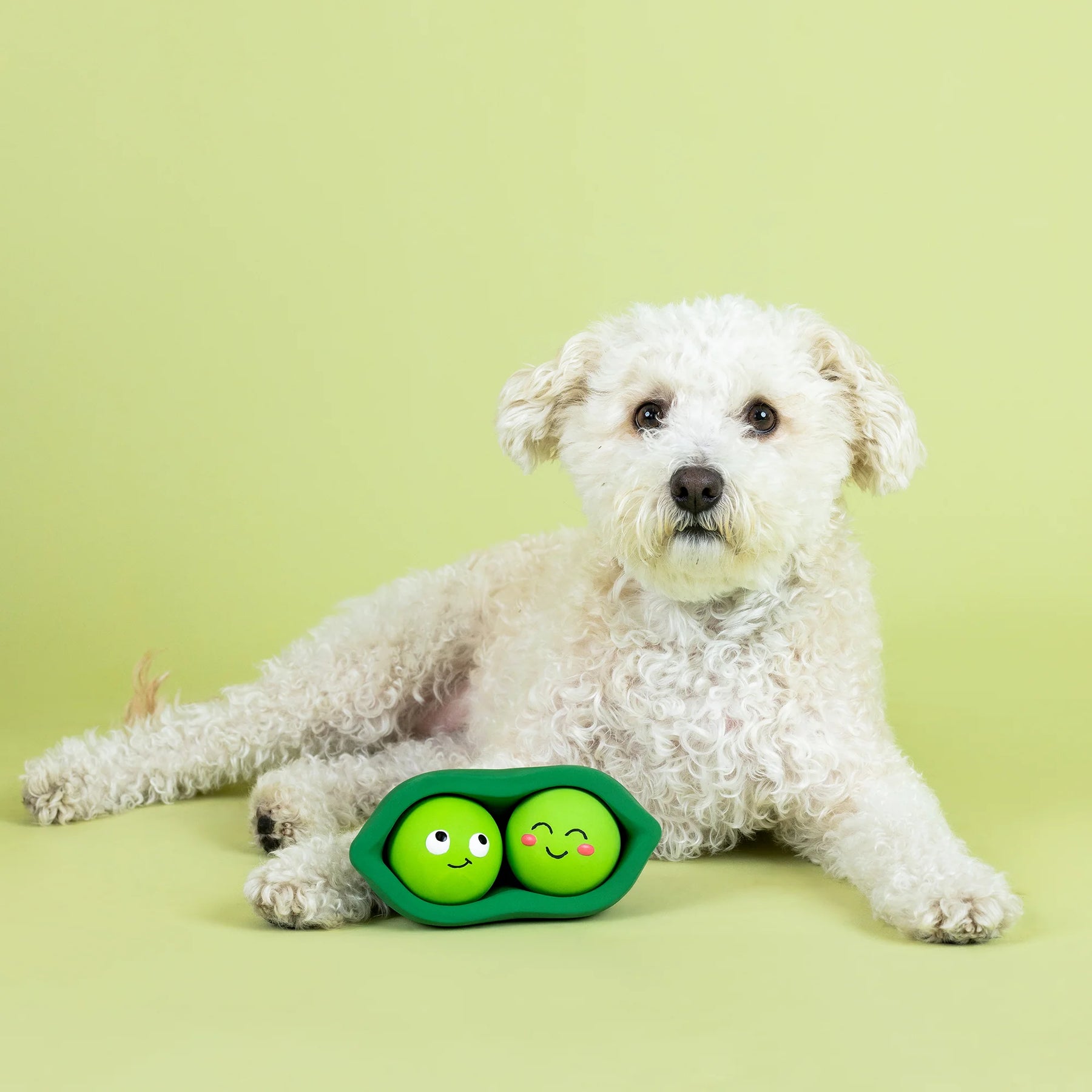 Petshop by Fringe Studio - Dog Toy We Come in Peas