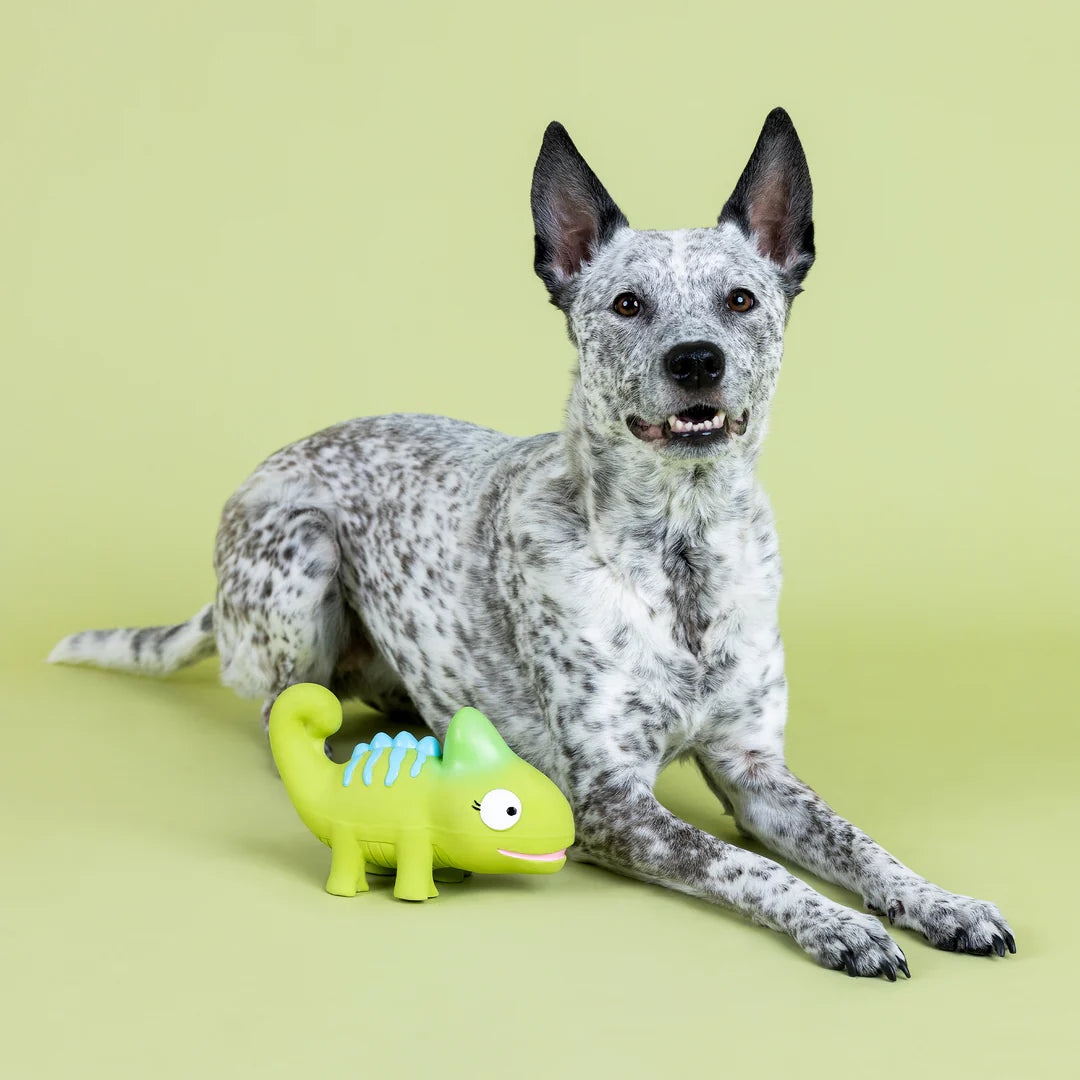 Petshop by Fringe Studio - One in a Cha-Million Latex Dog Toy