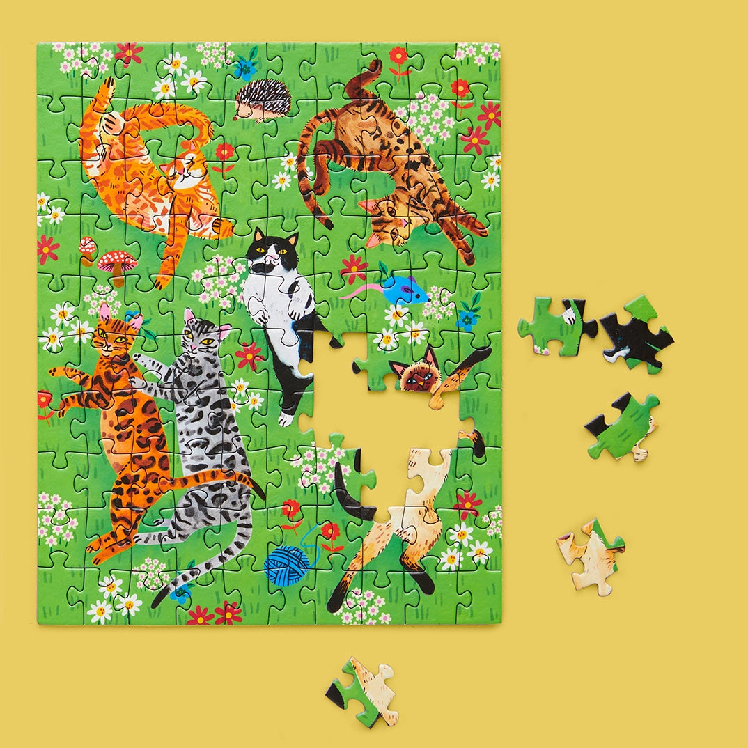 Puzzle Cat Nap