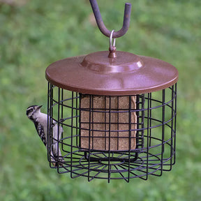 More Birds - Squirrel-Proof Double Suet Bird Feeder