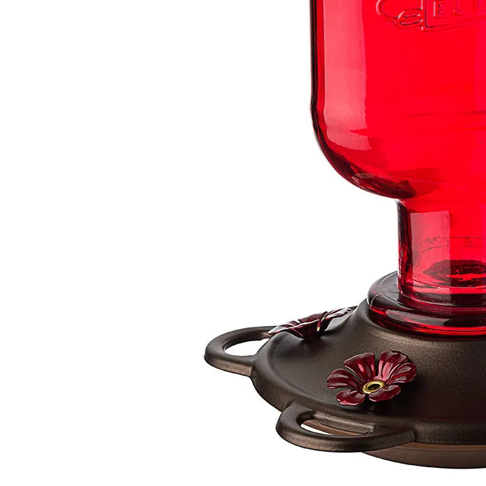 More Birds - Hummingbird Feeder Elixir