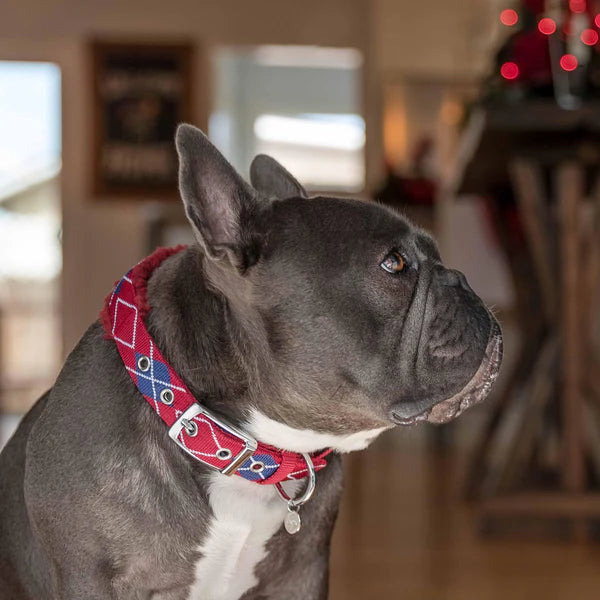 Merlot Red Scottish Argyle | Sherpa Fleece Padded Dog Collar