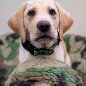 Camouflage HuggleFleece Ball Warrior Canine Connection