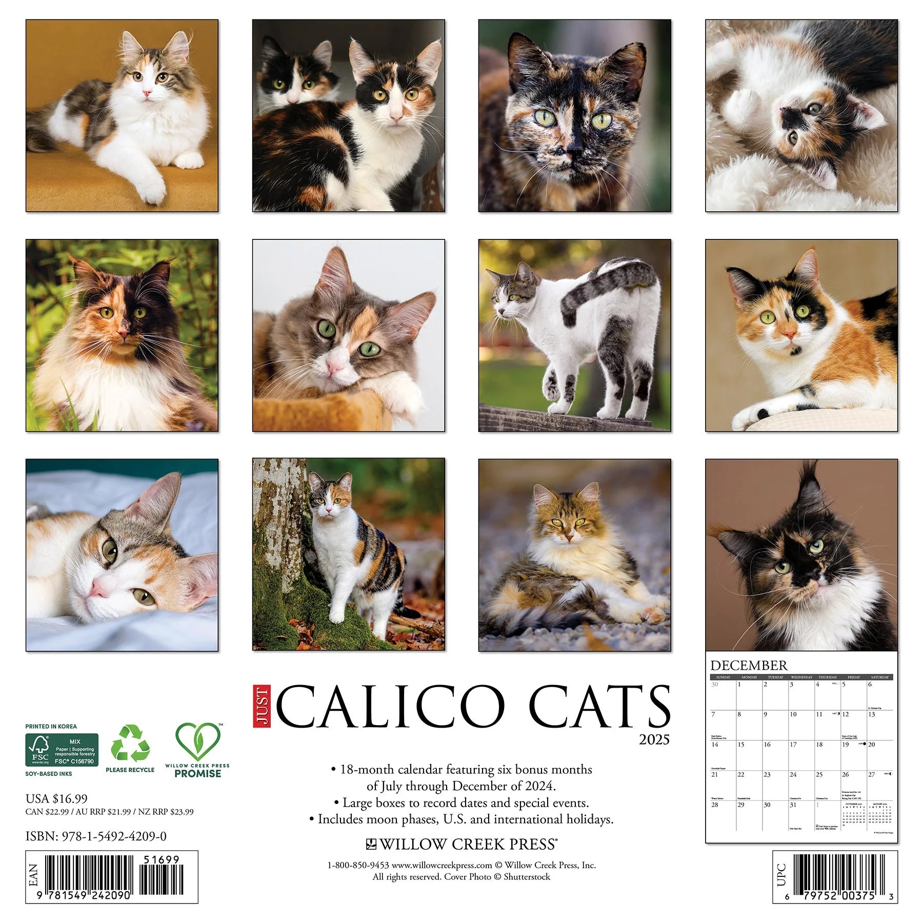 2025 Calico Cats Calendar