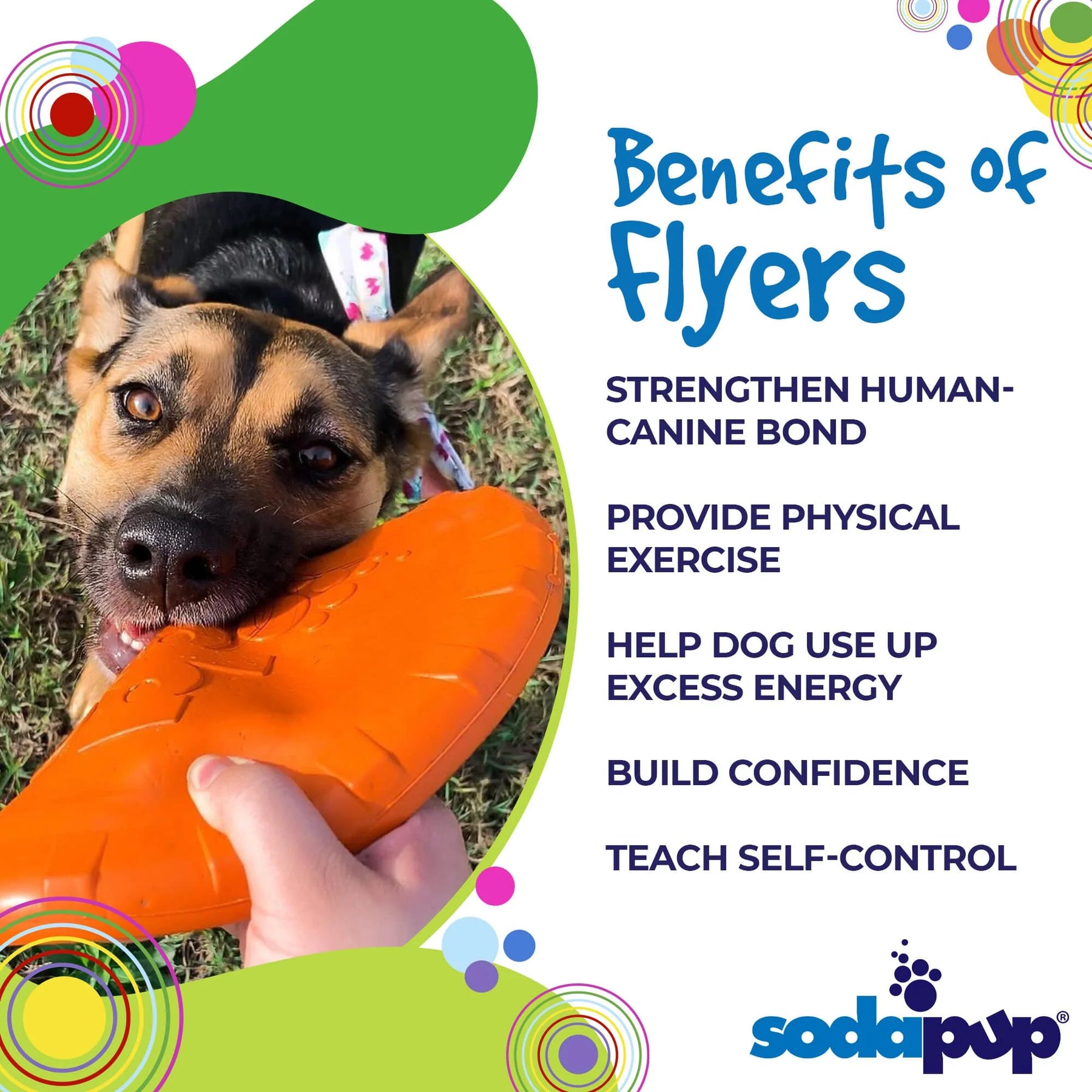 Sp Bottle Top Flyer Dog Toy