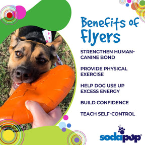 Sp Bottle Top Flyer Dog Toy