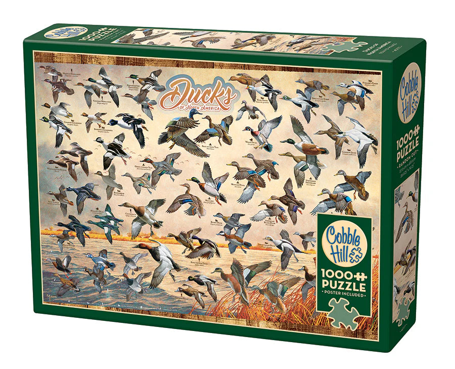 Puzzle: Ducks of North America