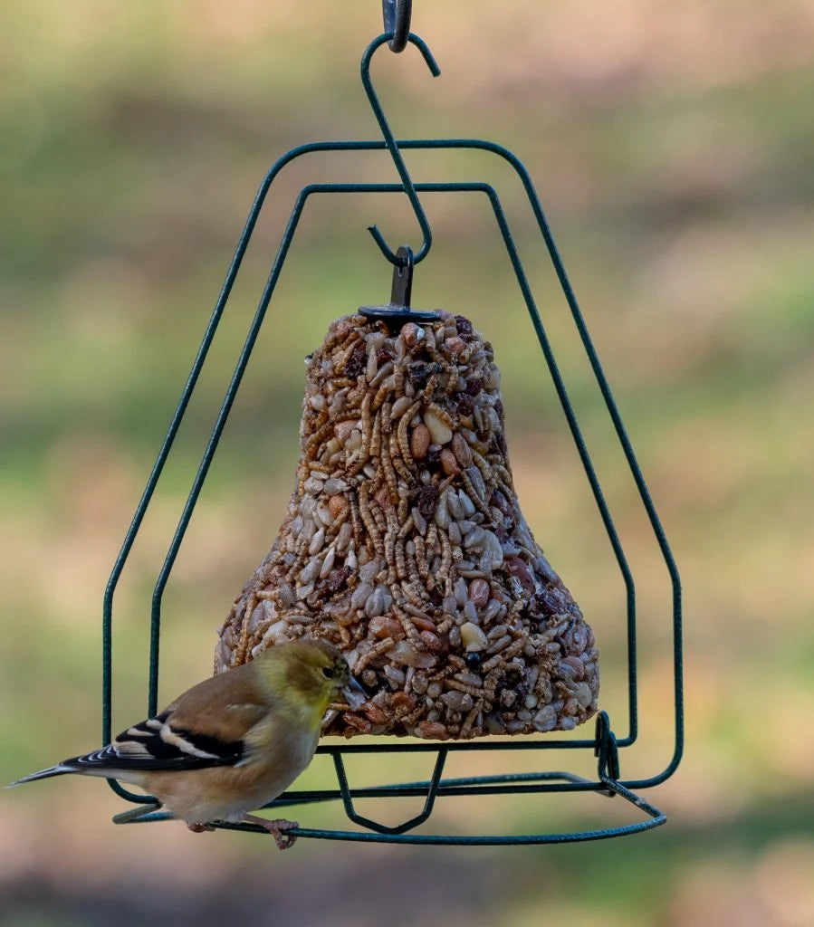 Bugs, Nuts, & Fruit Bell