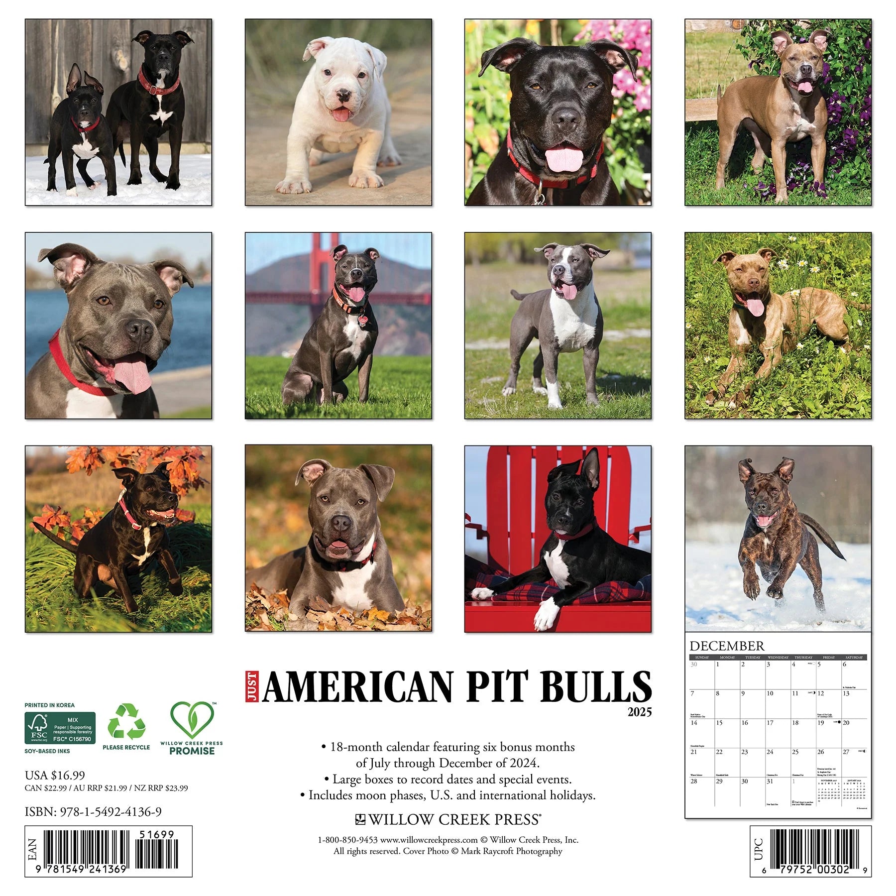 2025 American Pit Bull Terrier Calendar