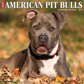 2025 American Pit Bull Terrier Calendar