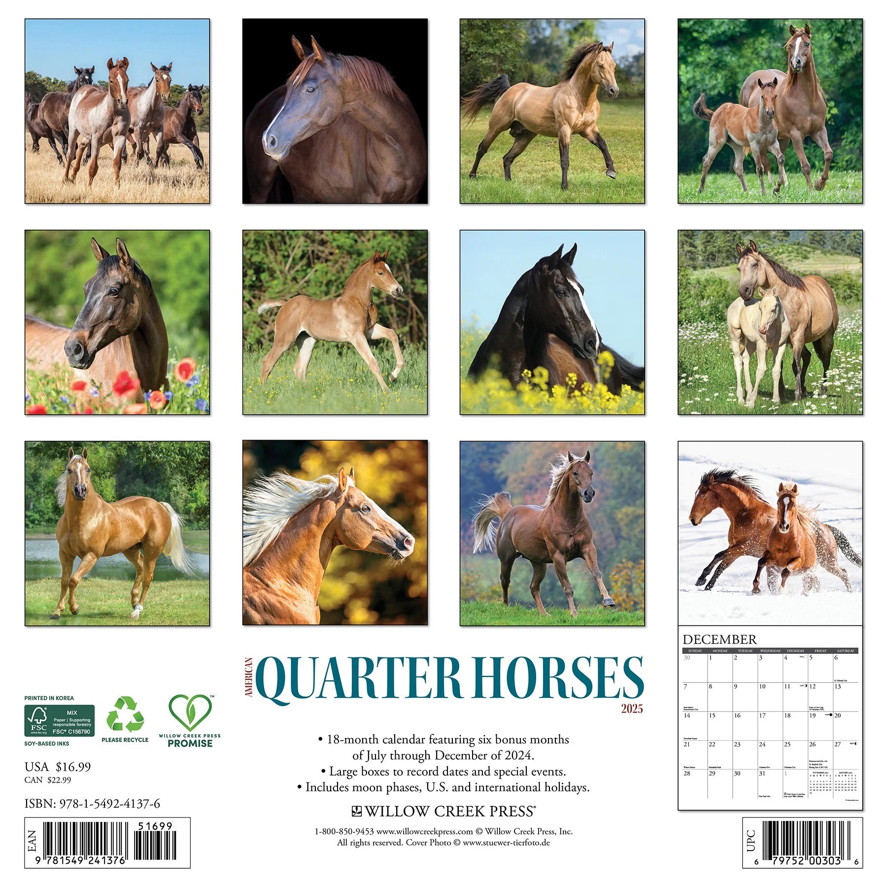 2025 American Quarter Horses Calendar