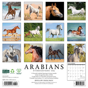 2025 Arabians Calendar