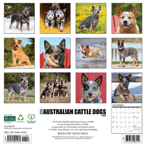 2025 Australian Cattle Dogs Calendar