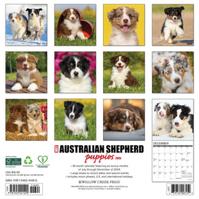 2025 Australian Shepherd Pups Calendar