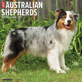 2025 Australian Shepherd Calendar