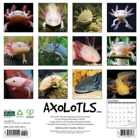 2025 Axolotls Calendar