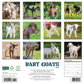 2025 Baby Goats Calendar