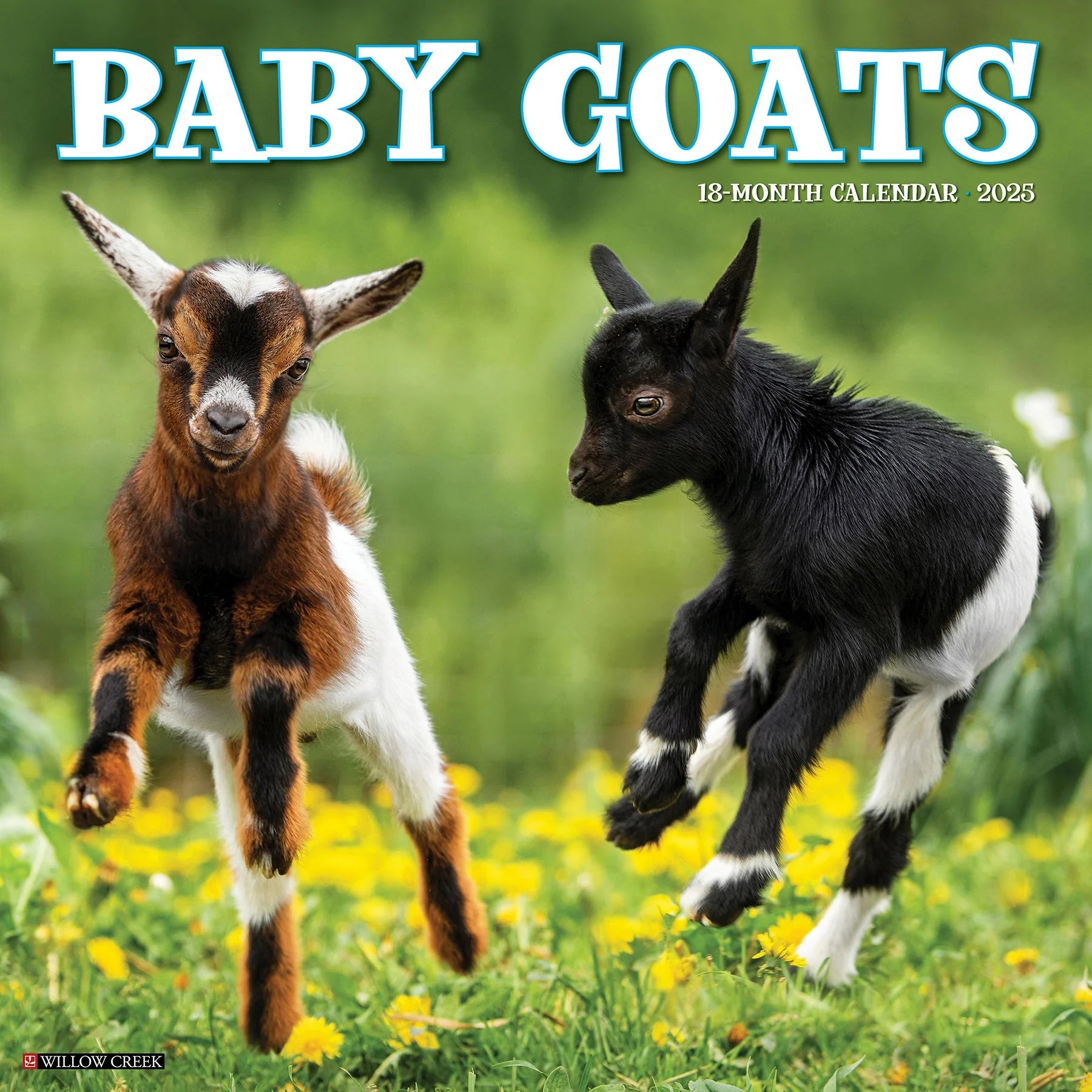 2025 Baby Goats Calendar