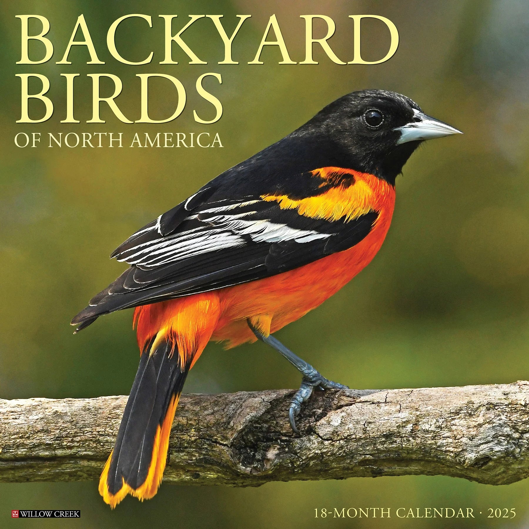 2025 Backyard Birds Of North America Calendar