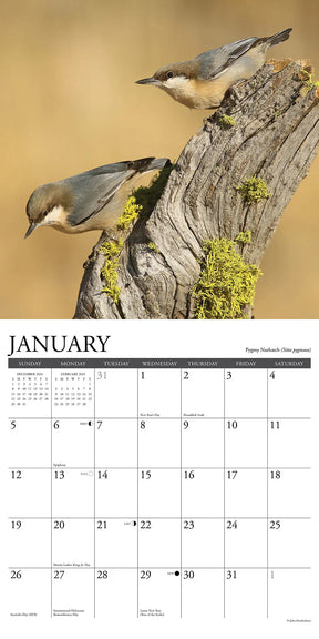 2025 Backyard Birds Of North America Calendar