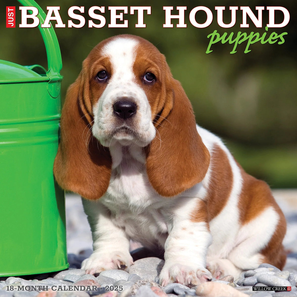 2025 Basset Hound Puppies Calendar