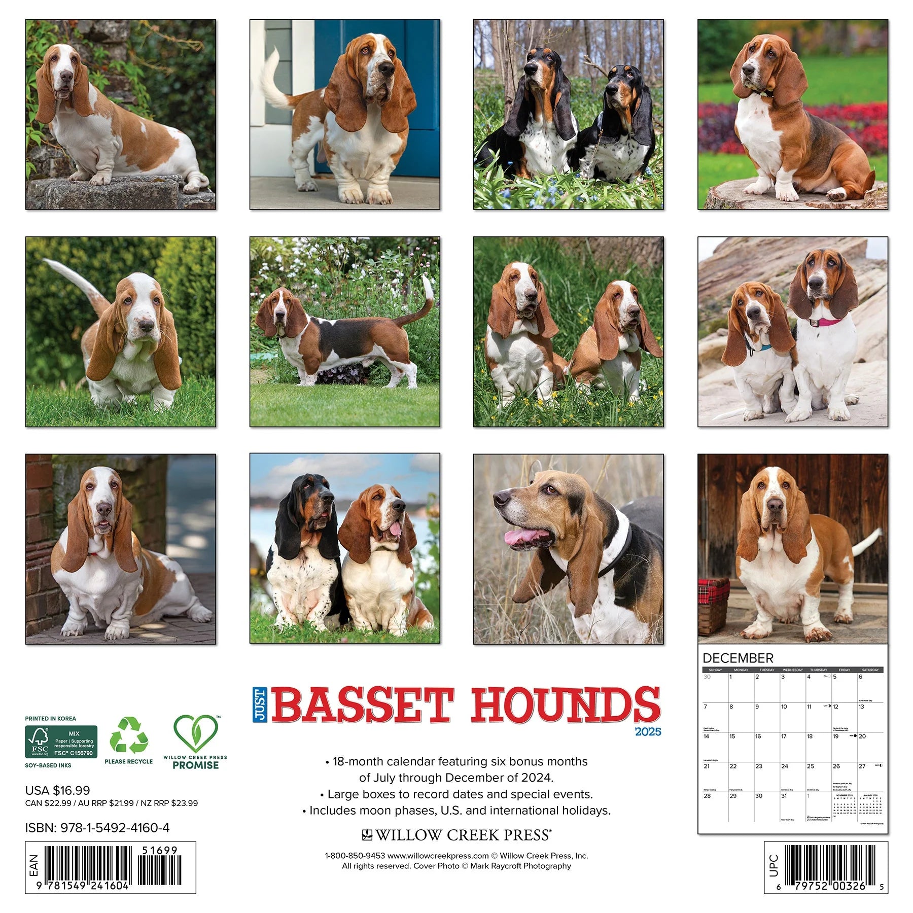 2025 Basset Hounds Calendar