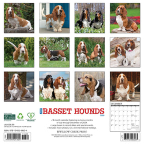 2025 Basset Hounds Calendar