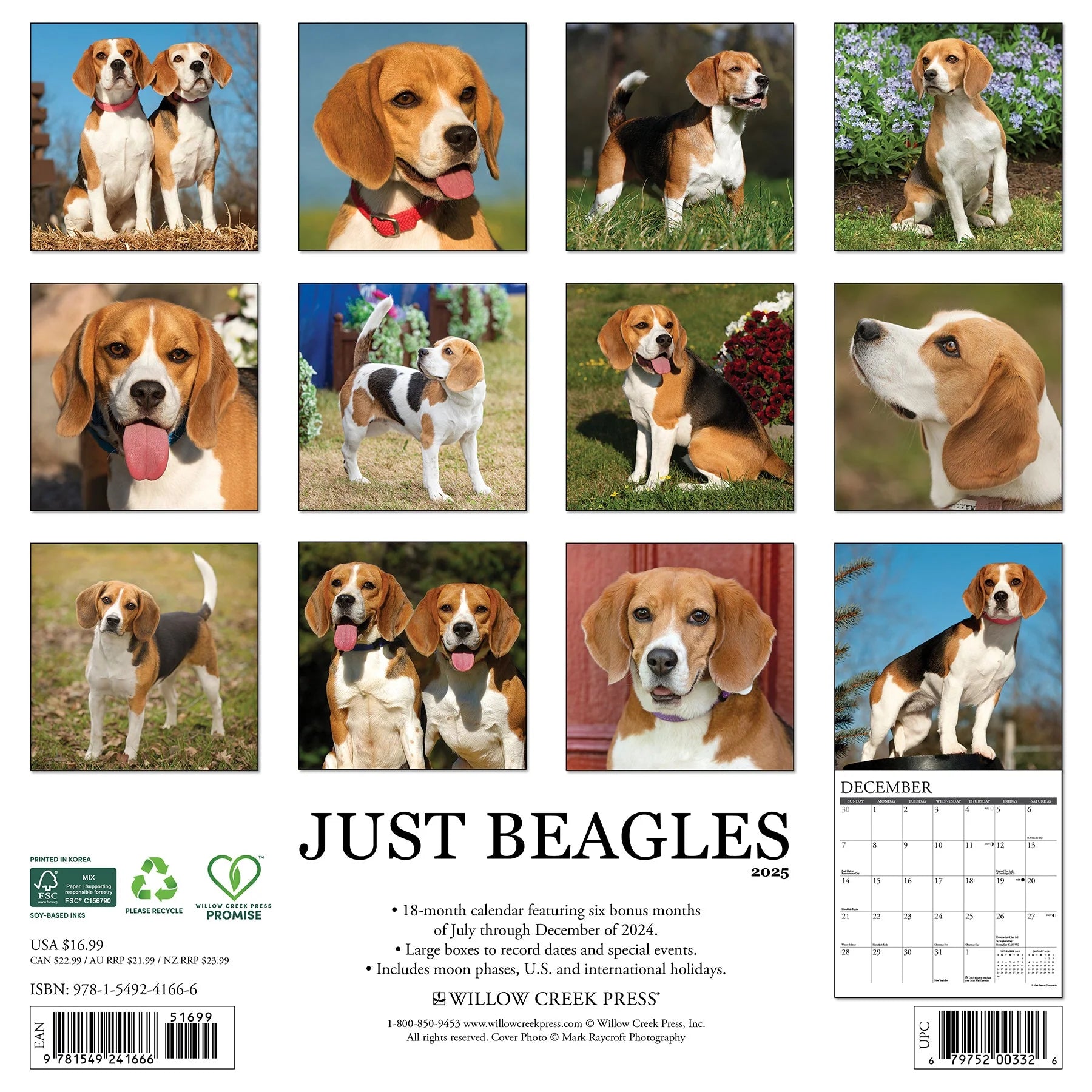 2025 Beagles Calendar