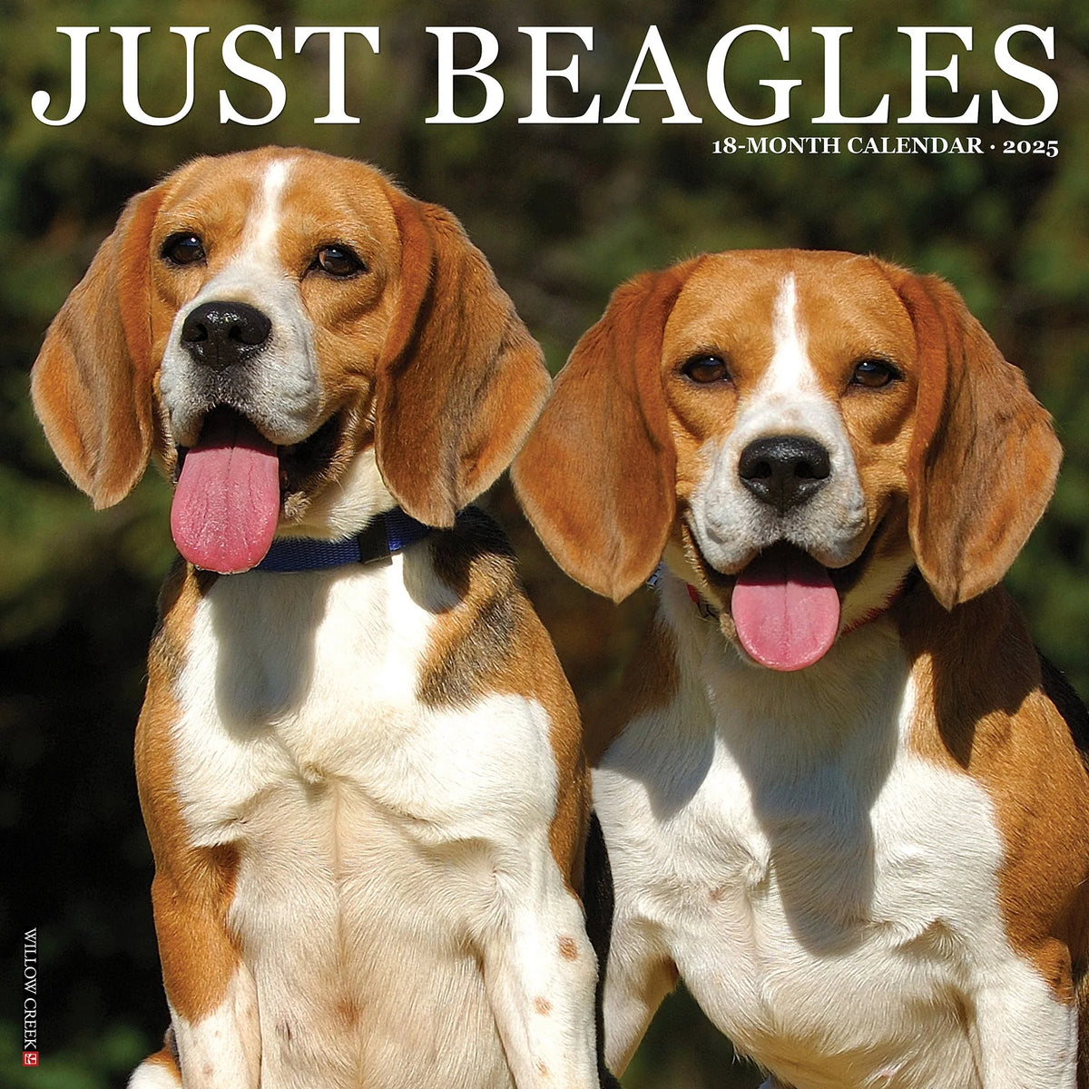 2025 Beagles Calendar