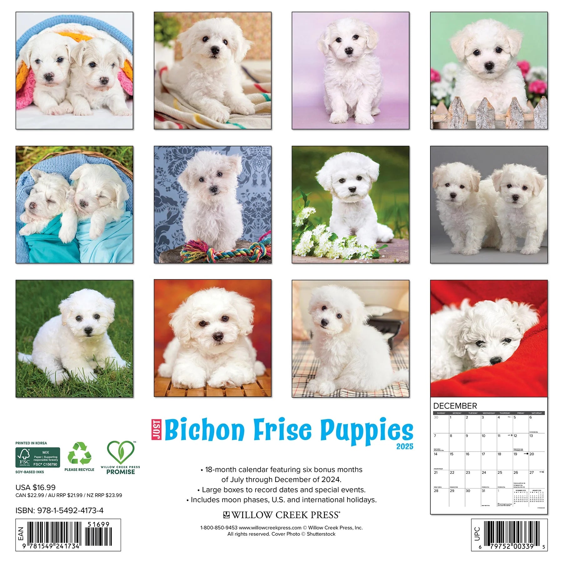 2025 Bichon Frise Puppies Calendar