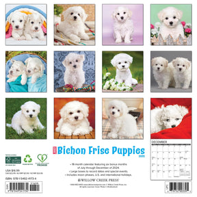 2025 Bichon Frise Puppies Calendar