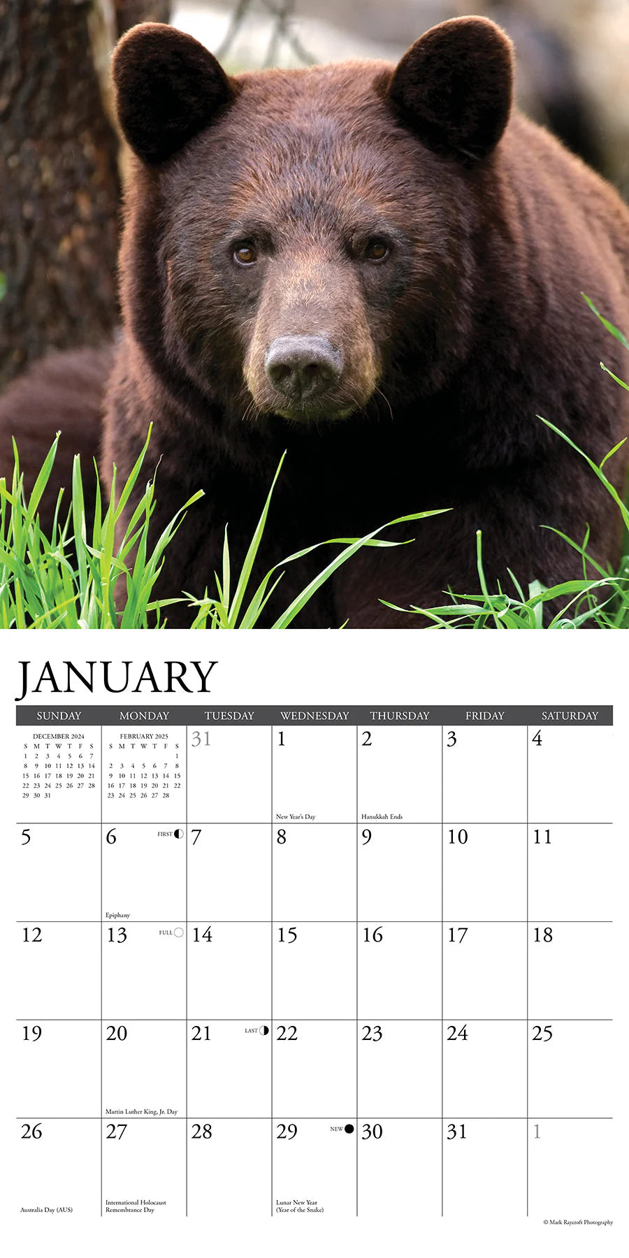 2025 Black Bears Calendar