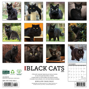 2025 Black Cats Calendar