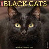 2025 Black Cats Calendar