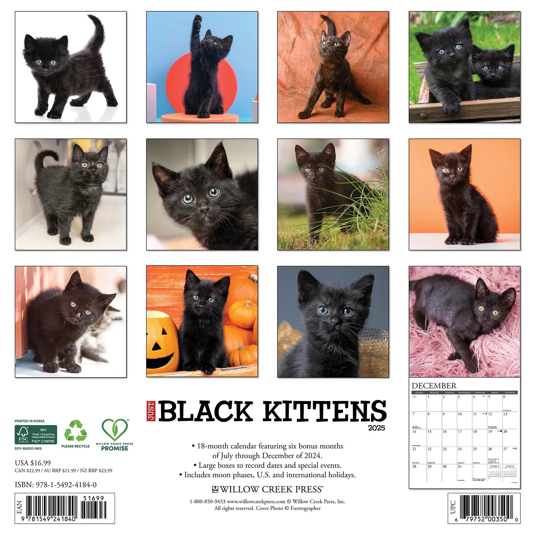 2025 Black Kittens Calendar