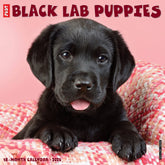 2025 Black Lab Puppies Calendar