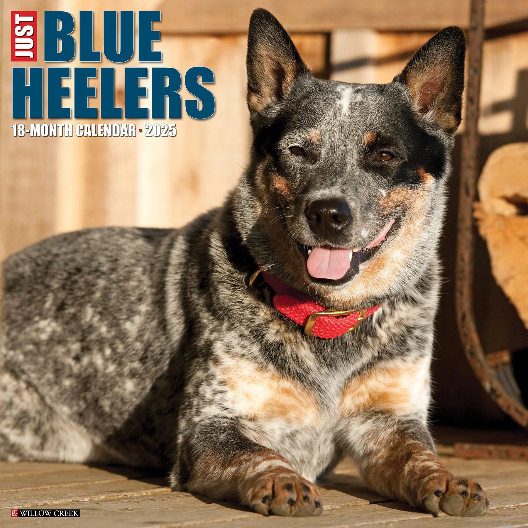 2025 Blue Heelers Calendar