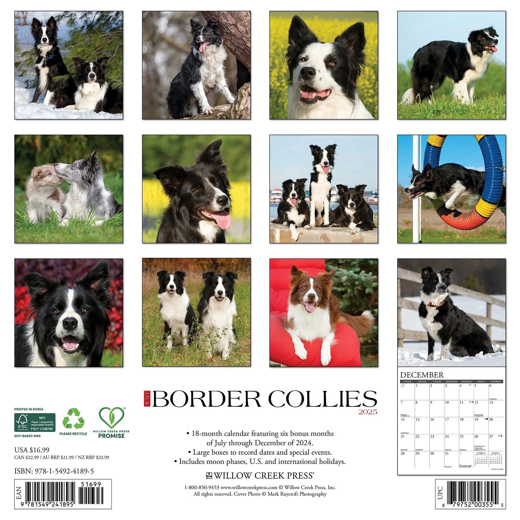 2025 Border Collies Calendar